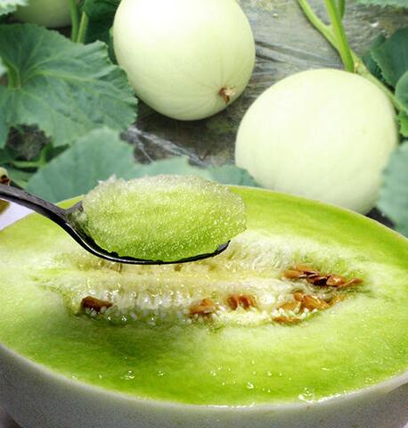 玉菇甜瓜品种